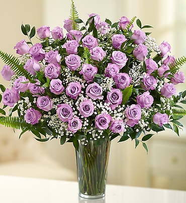 Long Stem Purple Roses