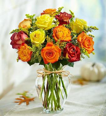 Premium Long Stem Autumn Roses