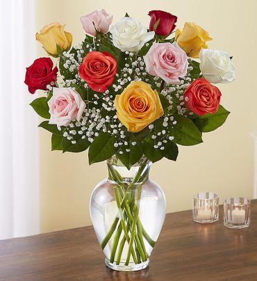 Premium Long Stem Assorted Roses