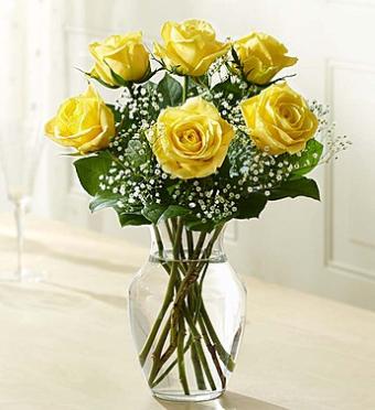 Love\'s Embrace Roses ? Yellow