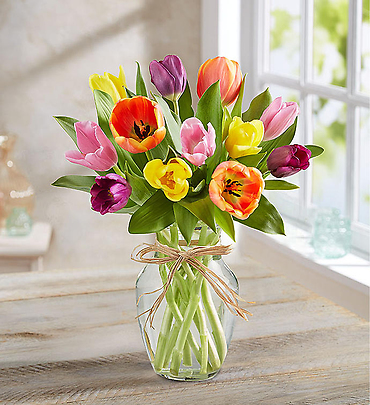 Timeless Tulips