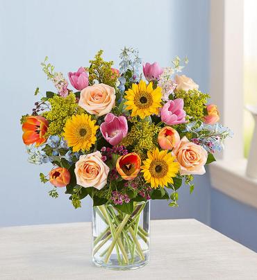 Spring Sensation