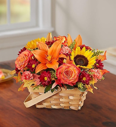 Fields of Europe for Fall Basket