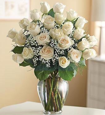 Long Stem White Roses