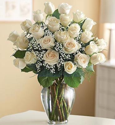 Long Stem White Roses