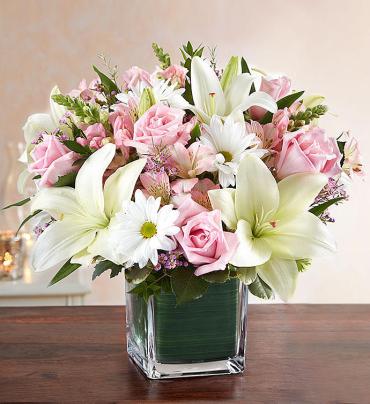 Healing Tears Pink & White
