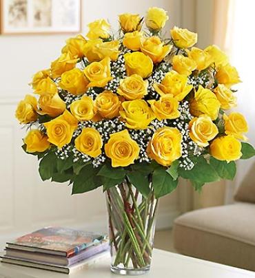 Long Stem Yellow Roses