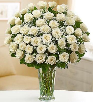 Long Stem White Roses