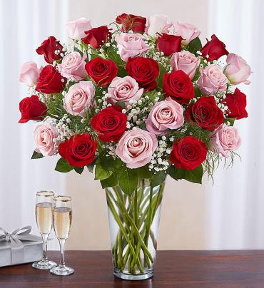 Long Stem Pink & Red Roses