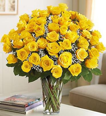 Long Stem Yellow Roses