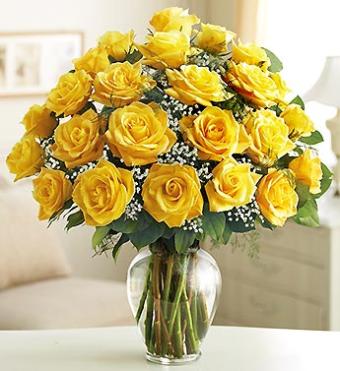 Long Stem Yellow Roses