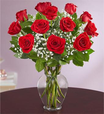 Premium Long Stem Red Roses