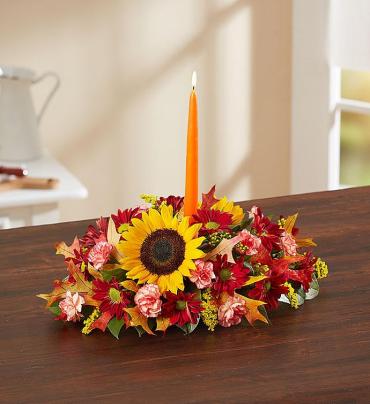 Fields of Europe for Fall Centerpiece